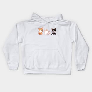 Lil Kittens Kids Hoodie